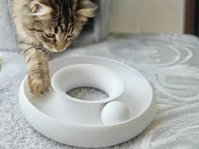 Kedi Oyun Kasesi